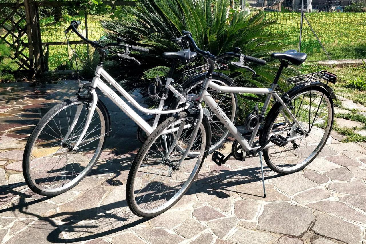 36 Cattolica Lägenhet Exteriör bild